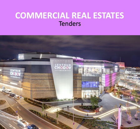 COMMERCIAL REAL ESTATES