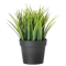 ARTIFICAL GRASS