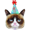 CAT DECORATION SUPPLIES