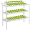 HYDROPONICS